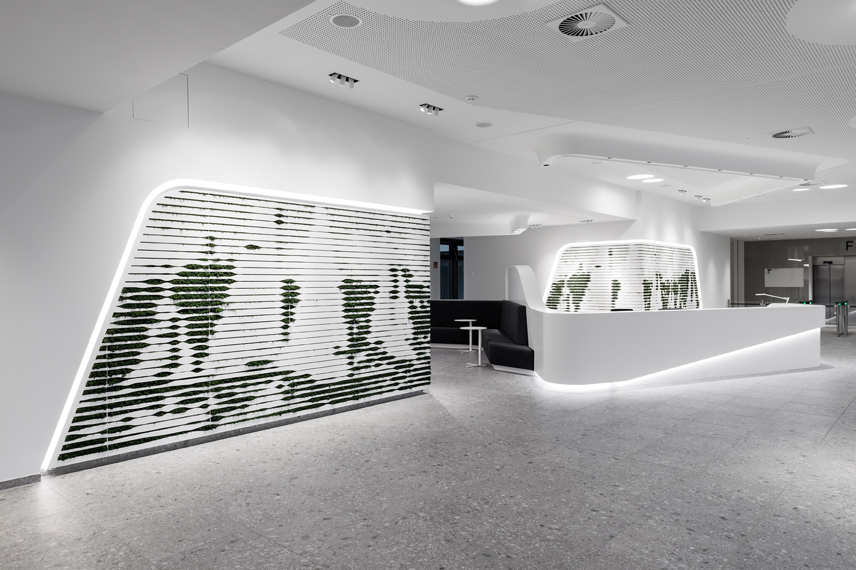 A Tour of Euler Hermes’ Biophilic Hamburg Office