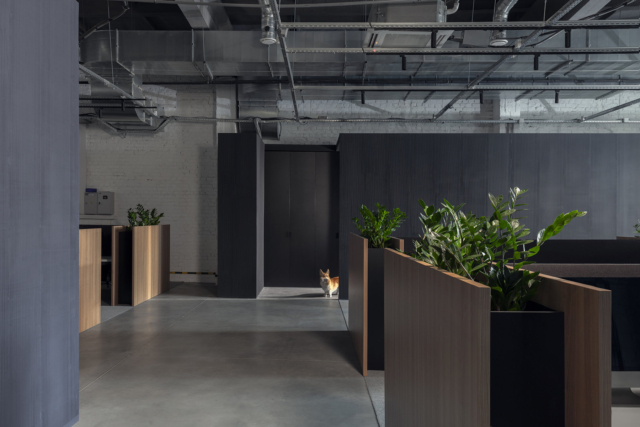 A Look Inside Loóna’s New Minsk Office