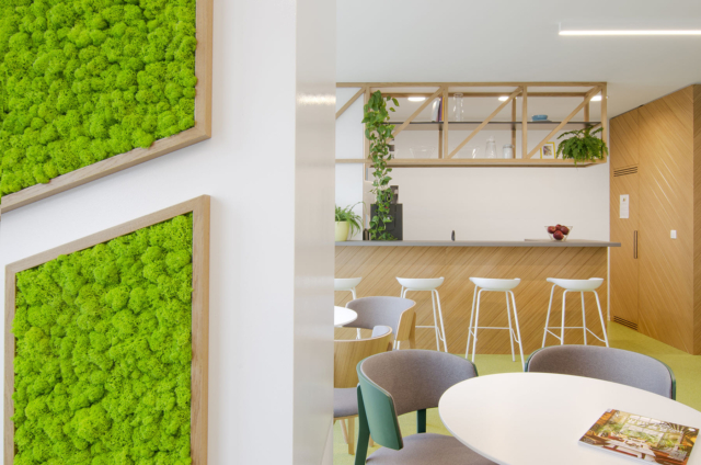A Tour of BNP Paribas’ New Sofia Office