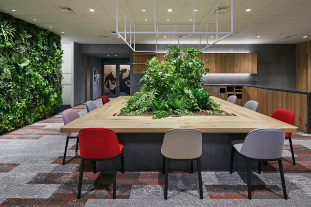 Inside Game Freak’s Biophilic Tokyo Office