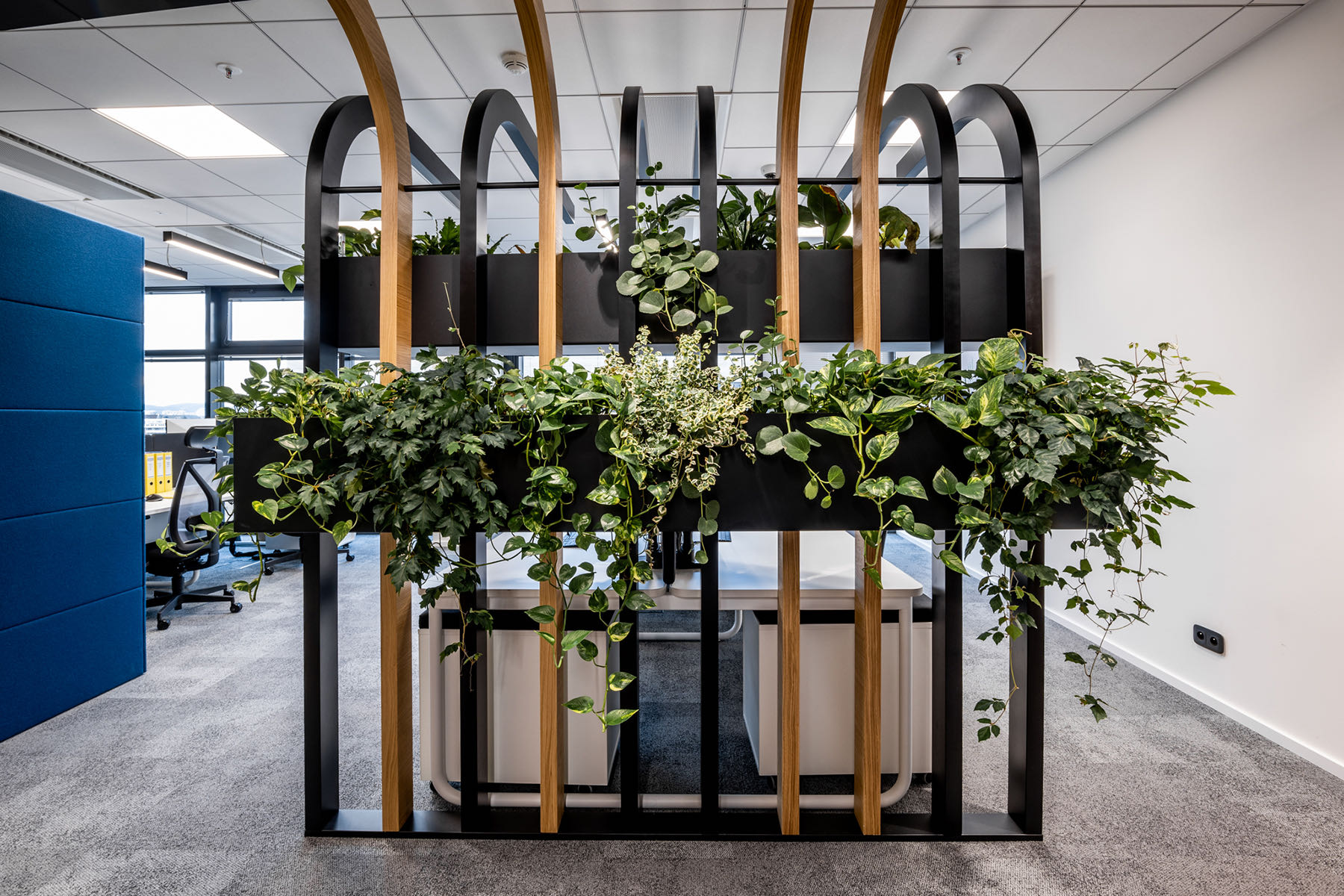 Open-plan workspace pkv-brno-office-5