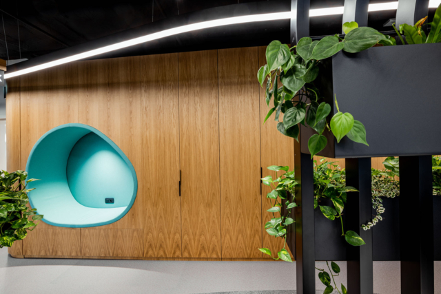 A Look Inside PKV’s New Brno Office