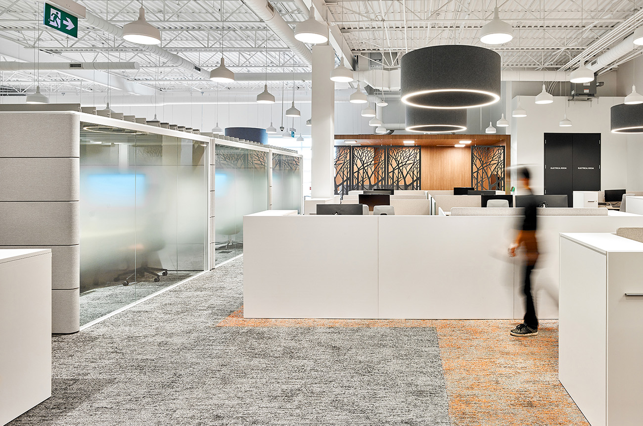 Inside Tandia Financial’s New Burlington Office