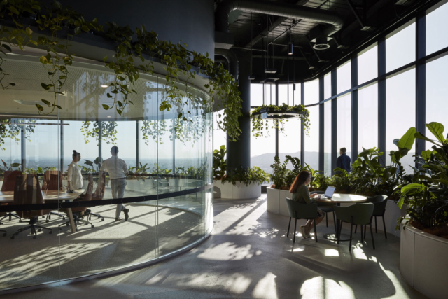 A Look Inside Transurban’s Biophilic Brisbane Office
