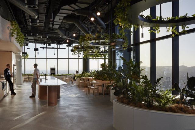 A Look Inside Transurban’s Biophilic Brisbane Office