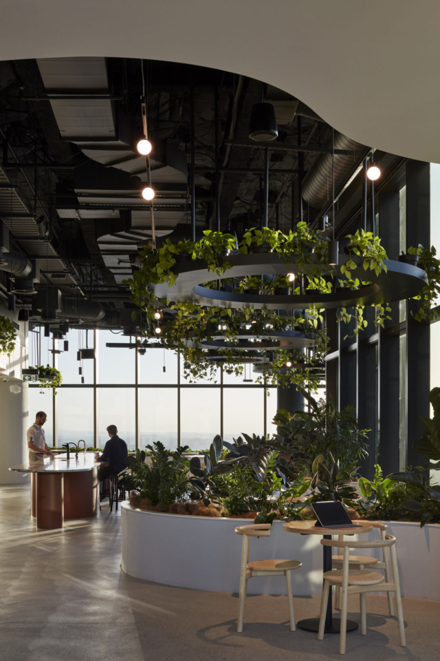 A Look Inside Transurban’s Biophilic Brisbane Office