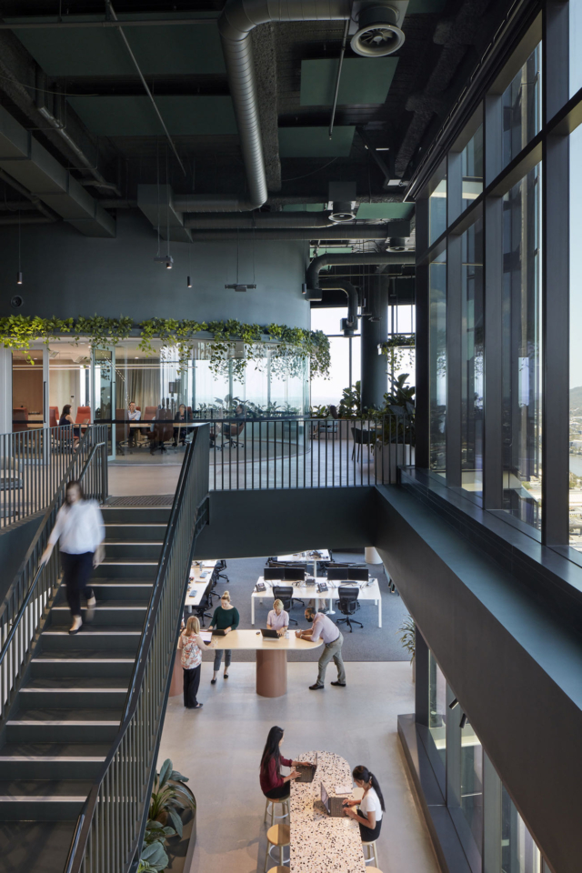A Look Inside Transurban’s Biophilic Brisbane Office