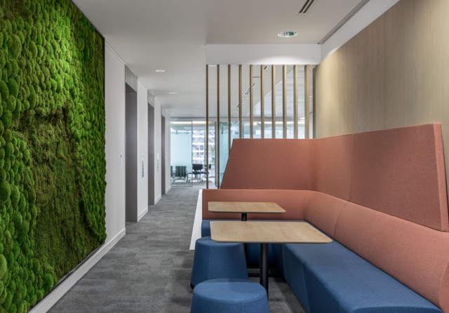 A Look Inside Sainsbury Family Charitable Trusts’ London Office