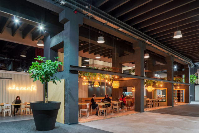 A Tour of Alza’s Biophilic Prague Headquarters