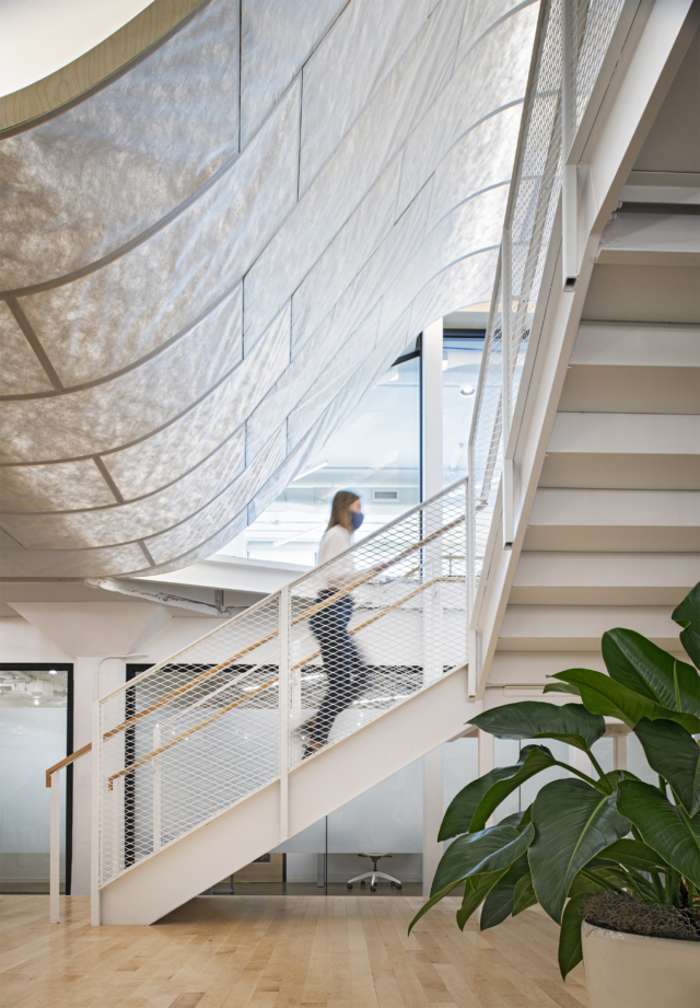 A Look Inside Bamboo‘s New Royal Oak Office