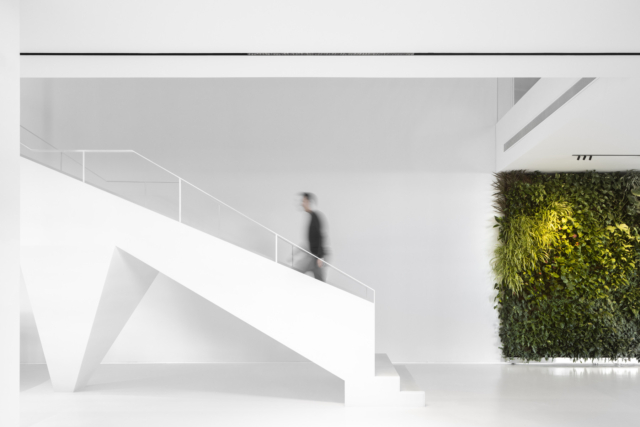 A Look Inside Ramalhos’ New Agueda Office