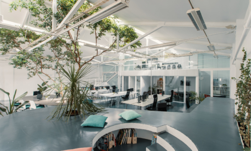 ficus-office-madrid-12