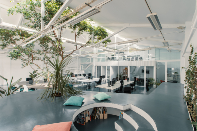 A Look Inside Ficus’ New Madrid Office