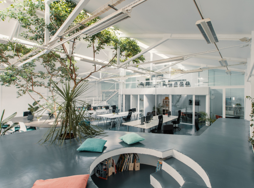 ficus-office-madrid-12