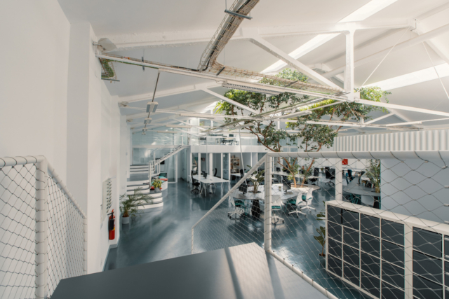 A Look Inside Ficus’ New Madrid Office
