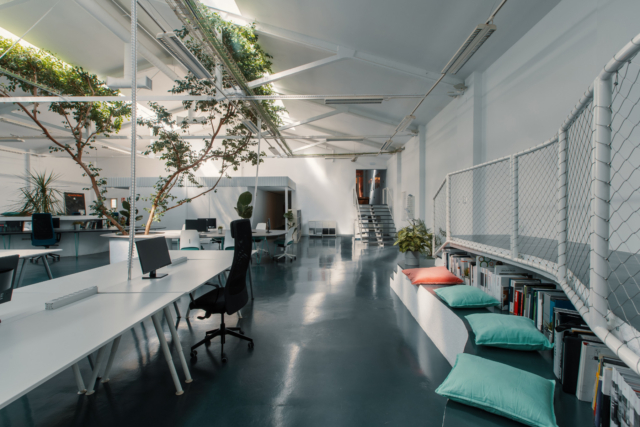 A Look Inside Ficus’ New Madrid Office