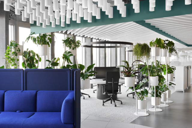 Inside Modern Solutions’ New Zurich HQ