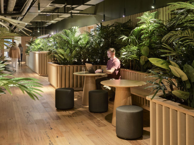 A Look Inside Fresh Hope’s New Sydney Office