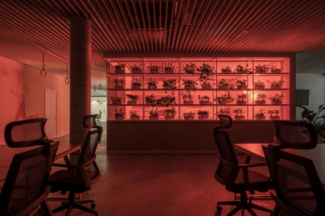 A Look Inside Sportbank’s Kyiv Office