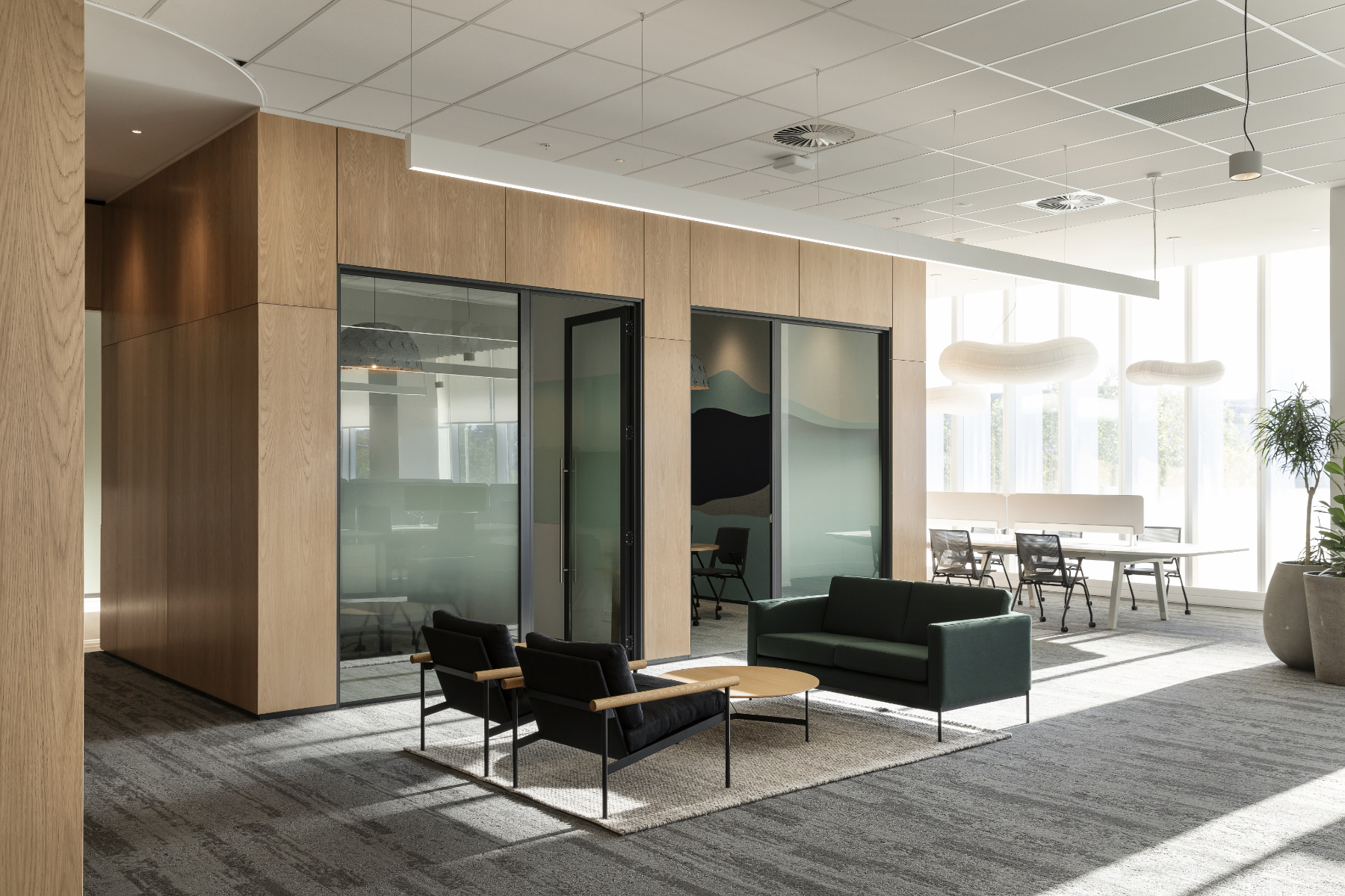 Inside Roche Diagnostics’ New Auckland Office