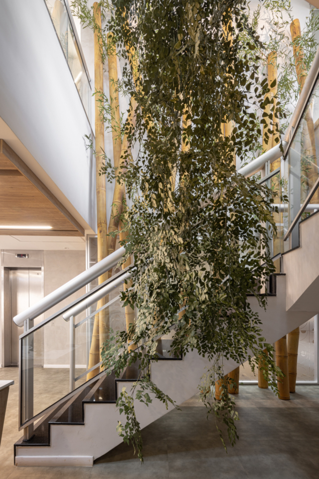 A Look Inside Belmonte Advocacia’s New Brasilia Office