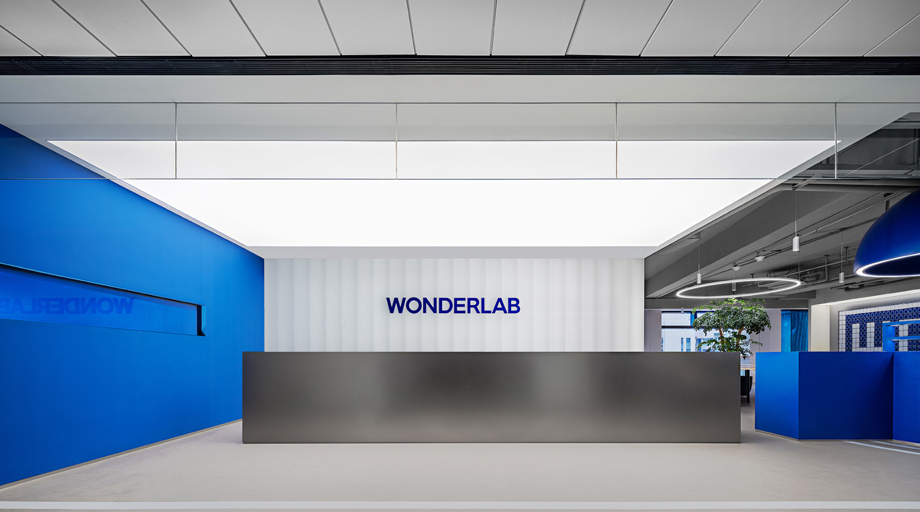wonderlab-office-1