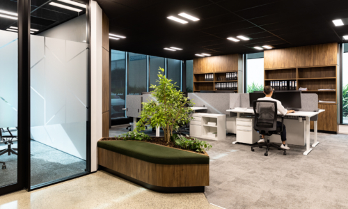 livefirm-auckland-office-5