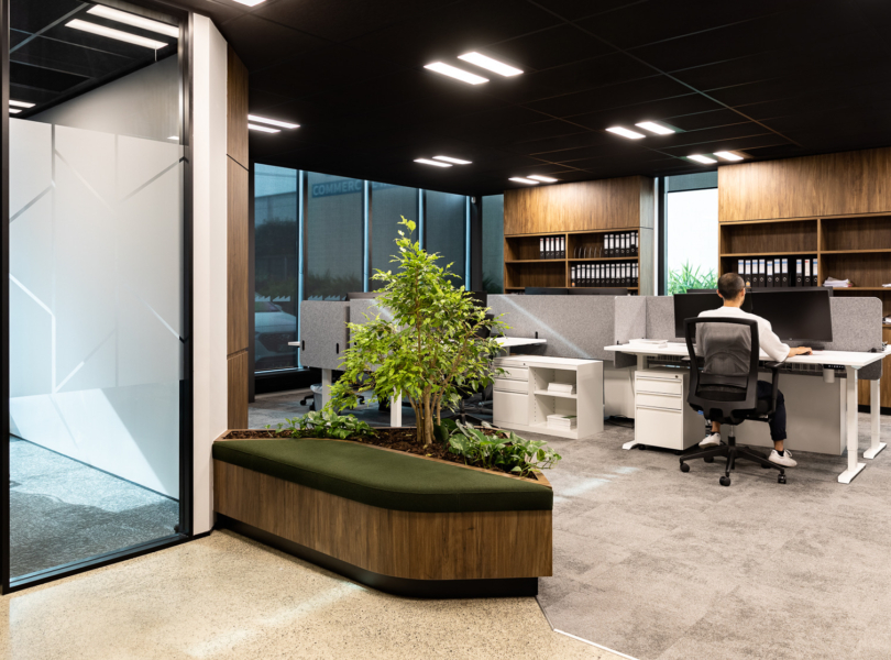 livefirm-auckland-office-5
