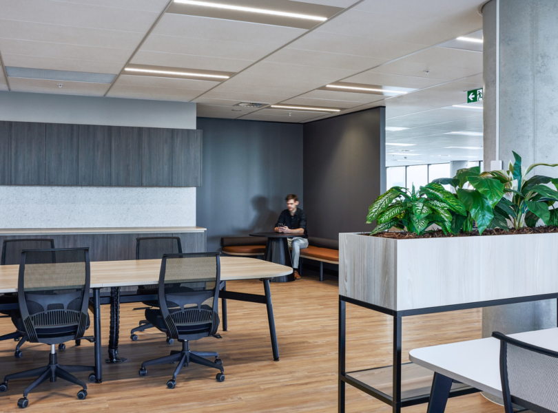 jqz-office-sydney-1