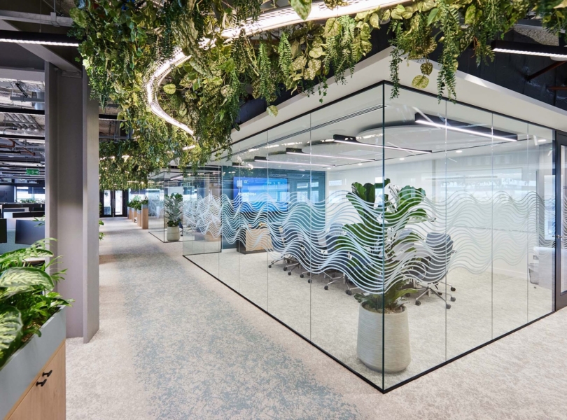 shark-ninja-office-5