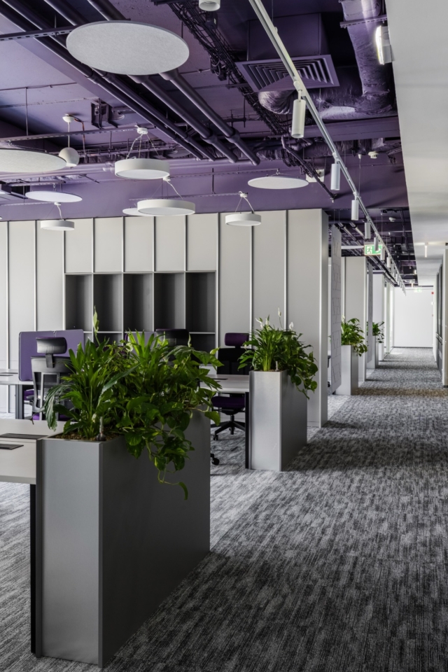 Inside Private Investment Company Offices in Bucharest