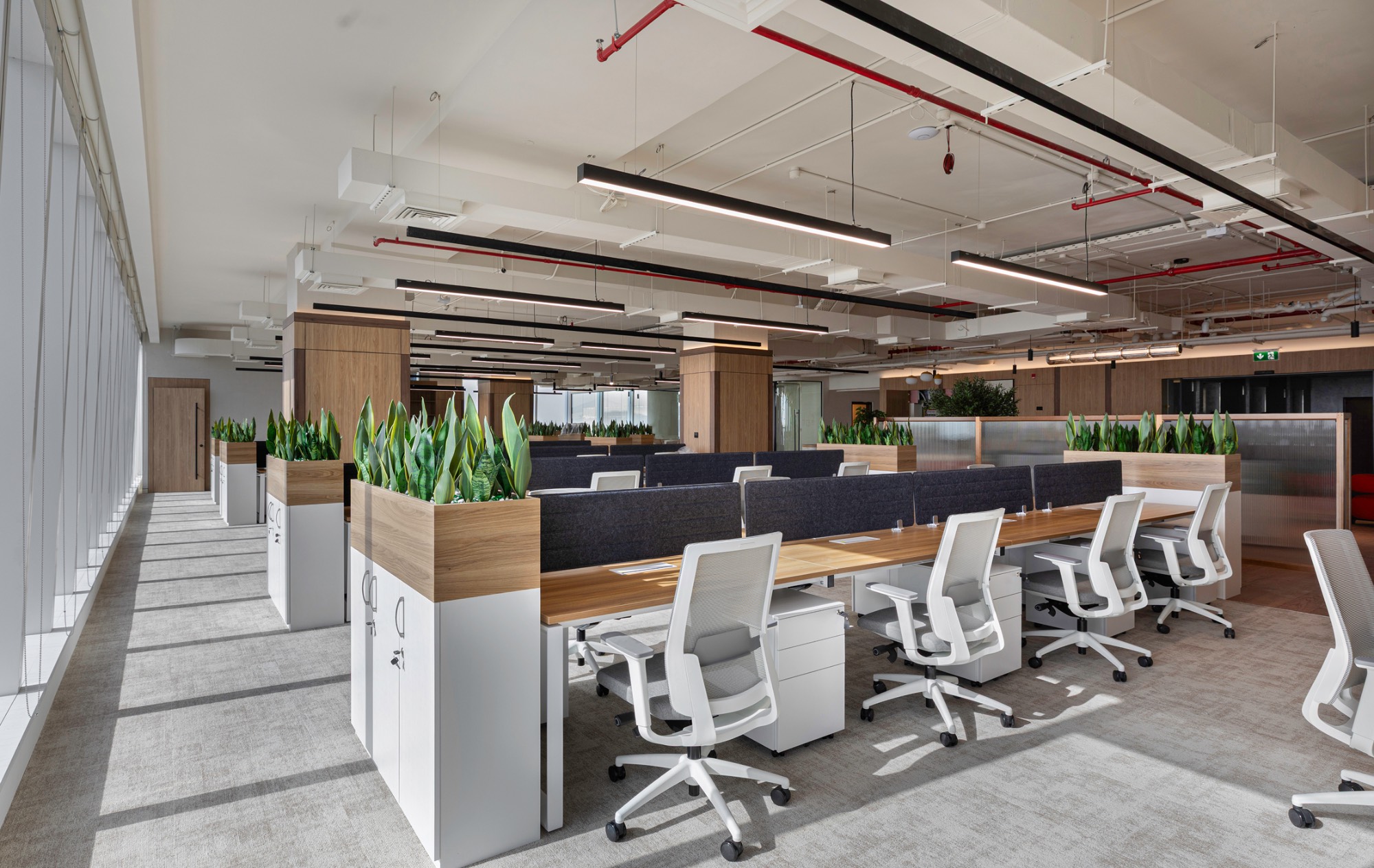Open-plan workspace ab-prime-office-3