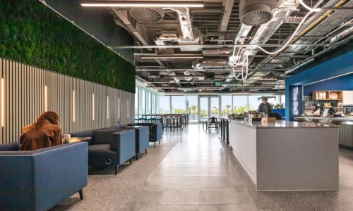 dps-games-office-2