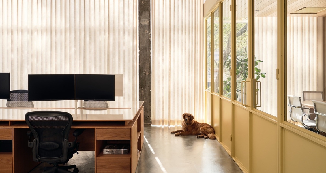 Inside Private Company Offices in Austin